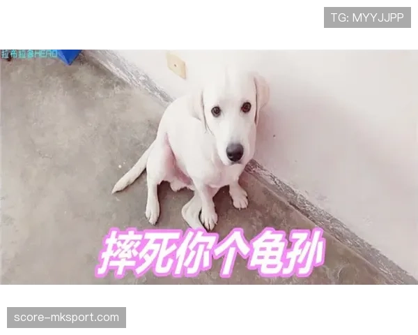 张楠退役后住进月租八万的顶层复式，每天五点起床遛狗顺带跑个半马